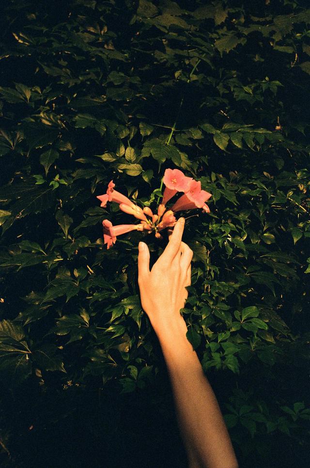 Flower hand